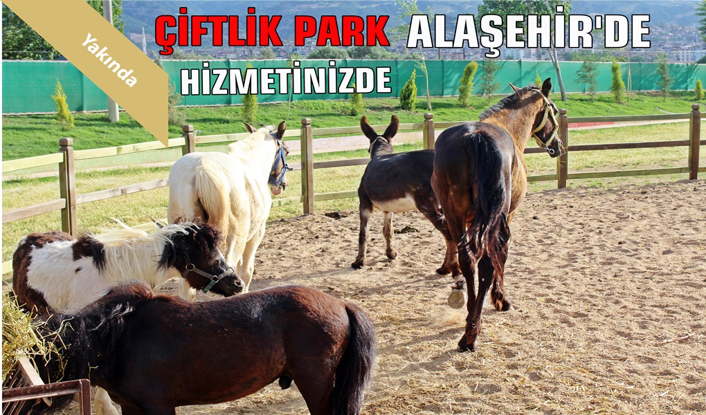 Alaşehir Çiftlik Park