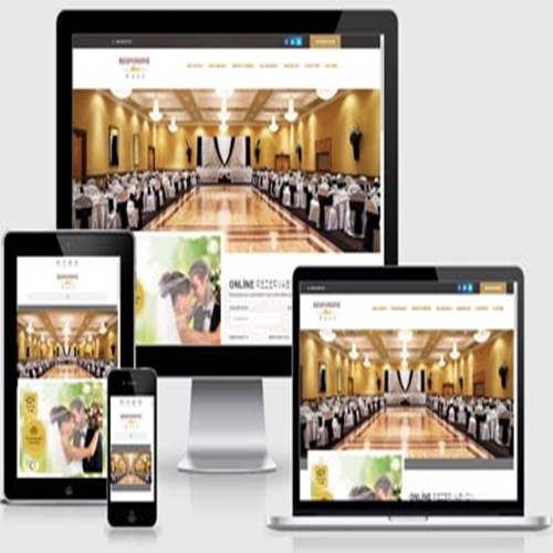 Organizasyon - Düğün Salonu Web Paketi
